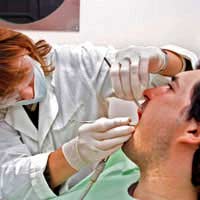 Dentist Dental Dental Treatment Dental